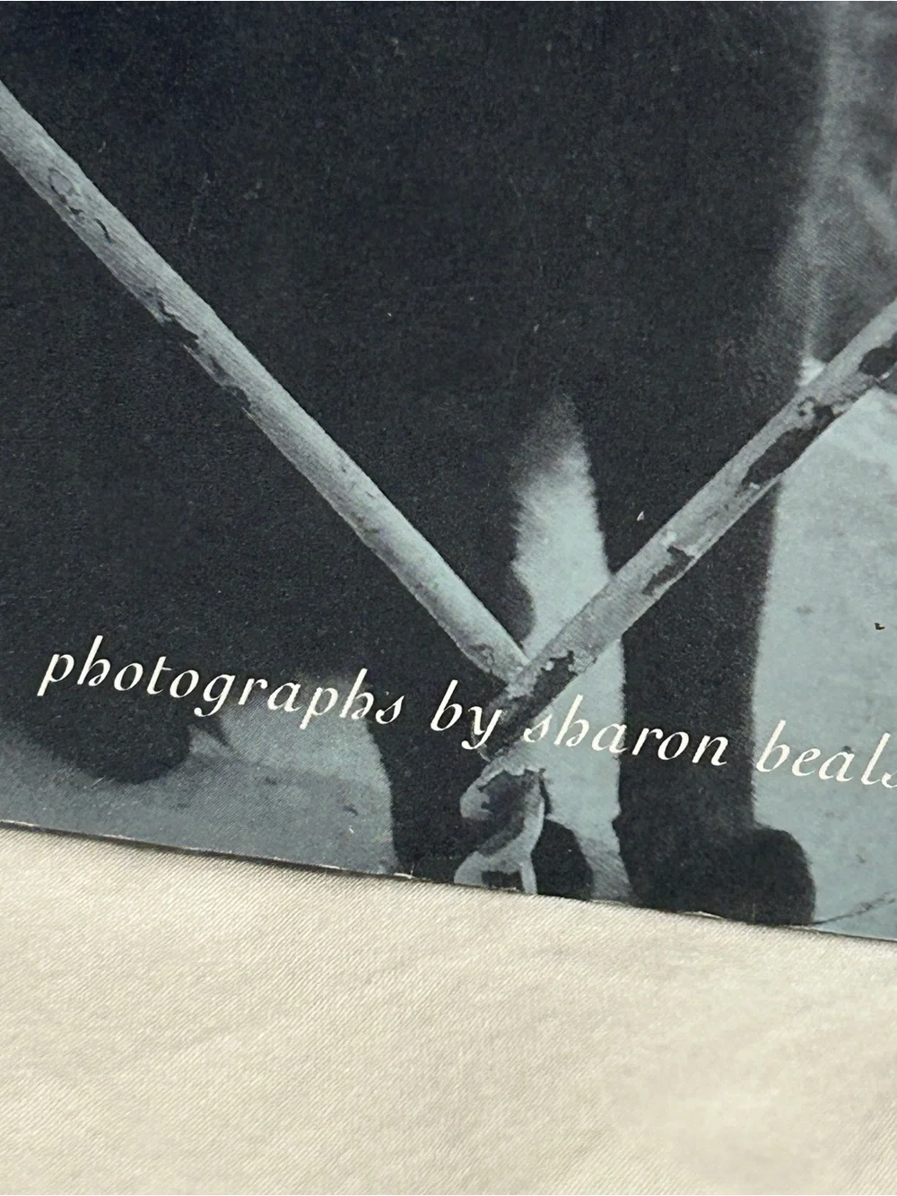 90s cat book What Cats Are cat photography book 1990s black and white art photos